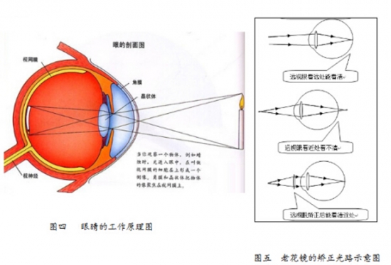 美麗島眼鏡：老花鏡不可隨意亂帶，需要在專業(yè)驗光后科學配制