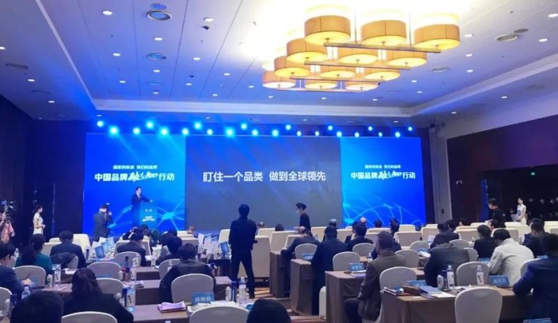 定了！美麗島進了國家隊，新華社專訪